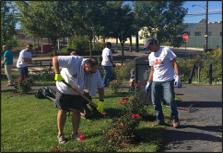 Greening the Garden State: These Three Towns Show You How!Â
